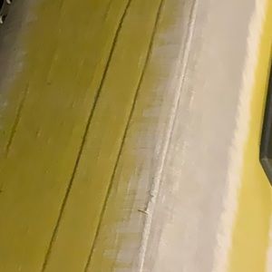 Meet your Posher, Ilana